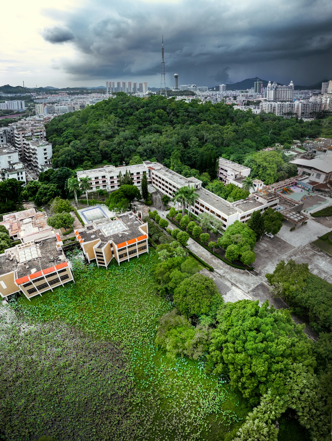 Jakie są trendy w projektowaniu nowoczesnych nieruchomości w Augustowie?