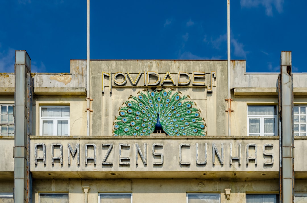 Rola lokalnych władz w kształtowaniu rynku nieruchomości w Augustowie.